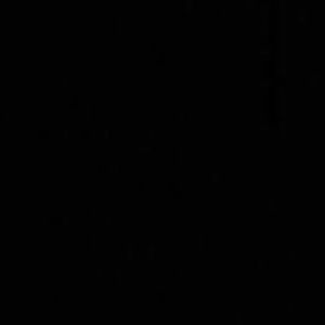 Meet your Posher, Millie